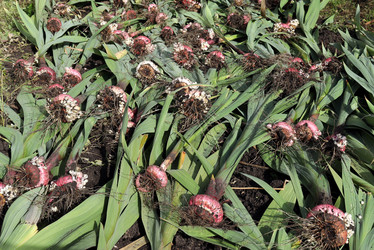 Similar image 21672527