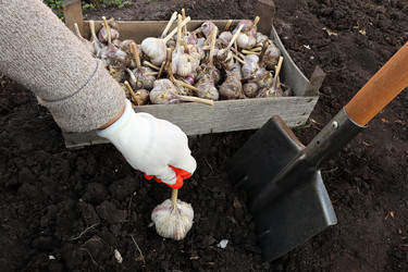 Similar image 21672529