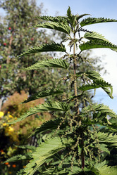 Similar image 21672532