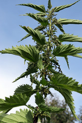 Similar image 21672533