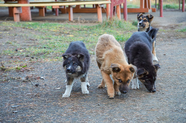 Similar image 21672584