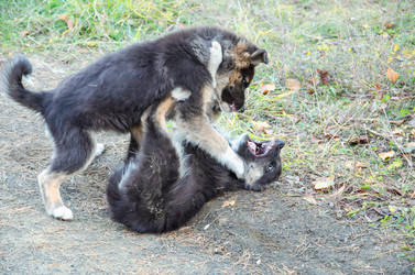 Similar image 21672585