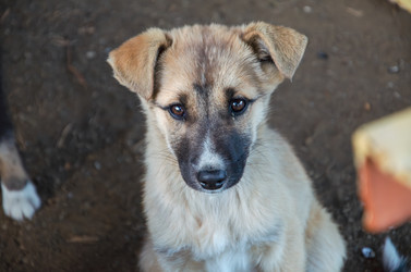 Similar image 21672586