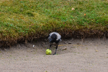 Similar image 21677165