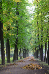 Similar image 21676490