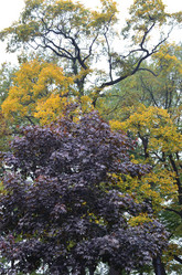 Similar image 21676492