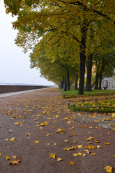 Similar image 21676494