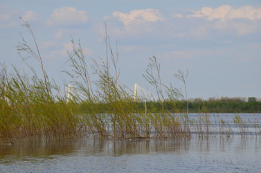 Similar image 21673278