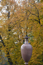 Similar image 21676499