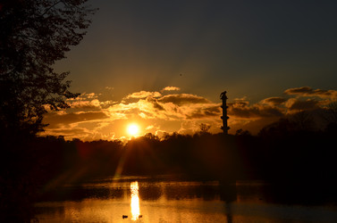 Similar image 21676505