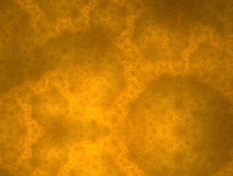 Similar image 21676760