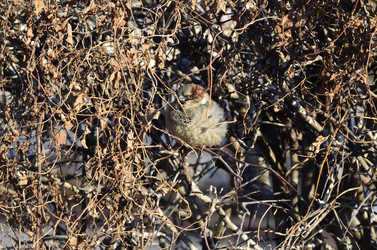 Similar image 21677176