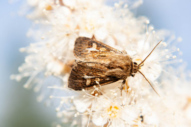 Similar image 21675314