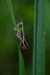 Similar image 21674195