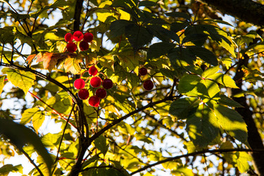 Similar image 21677884