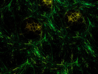 Similar image 21677068