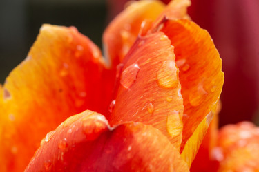 Similar image 21673536