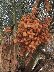 Similar image 21673044