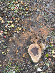 Similar image 21673236