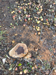 Similar image 21673237