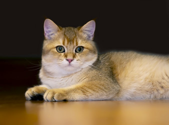 Similar image 21673050