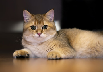 Similar image 21673051