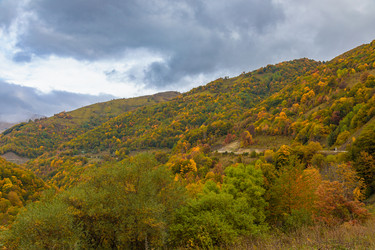 Similar image 21673905