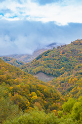 Similar image 21673906