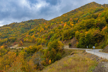 Similar image 21673907