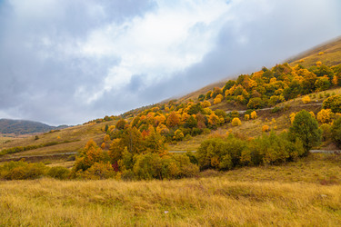 Similar image 21673911