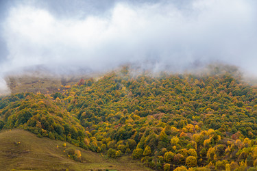 Similar image 21673922