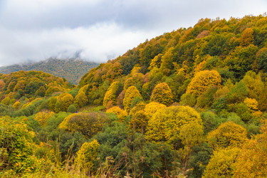 Similar image 21673923