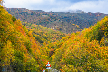 Similar image 21673931