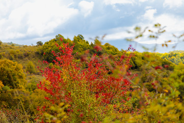 Similar image 21673942