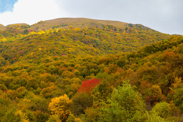 Similar image 21673943