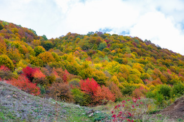 Similar image 21673945