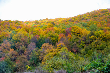 Similar image 21673947