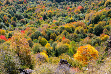 Similar image 21673950