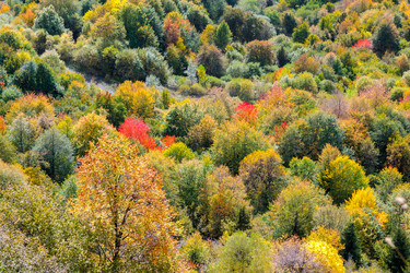 Similar image 21673951