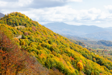 Similar image 21673952