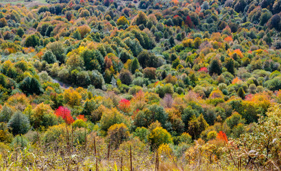 Similar image 21673953