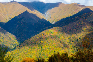 Similar image 21673955