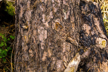 Similar image 21673680