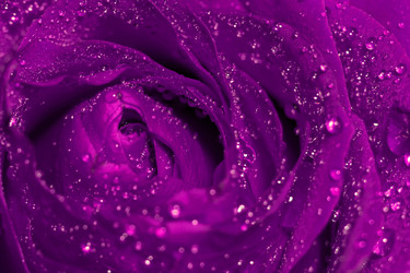 Similar image 21673682