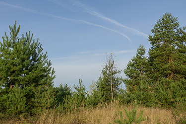 Similar image 21673845