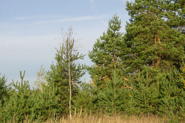 Similar image 21673847