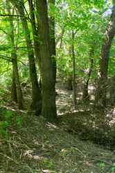 Similar image 21673853