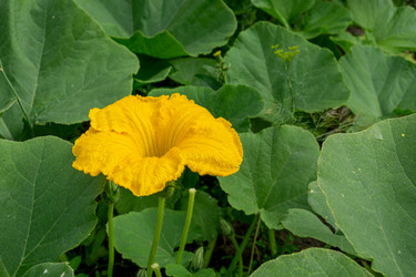 Similar image 21673858