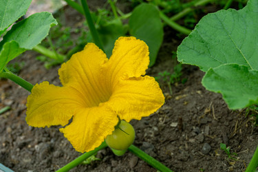 Similar image 21673860