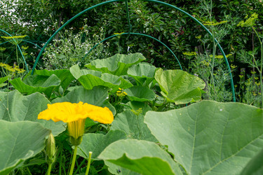 Similar image 21673861